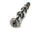 Nockenwelle Lada Niva 1,7i MPI ab Euro 3 (=8450037177)